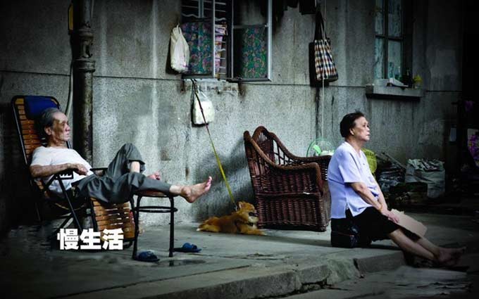 老街、旧人和猫的慢生活