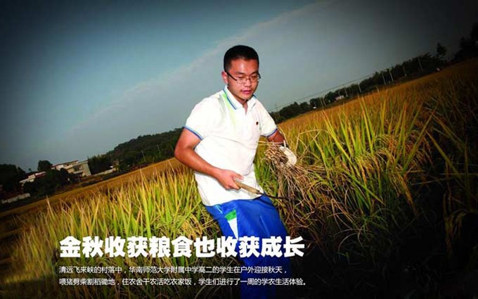 金秋收获粮食也收获成长