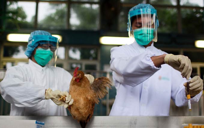 人感染H7N9禽流感广东随时可能有病例