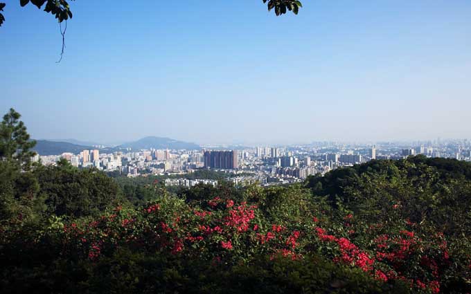 冬季白云显秀色 多图领略羊城美