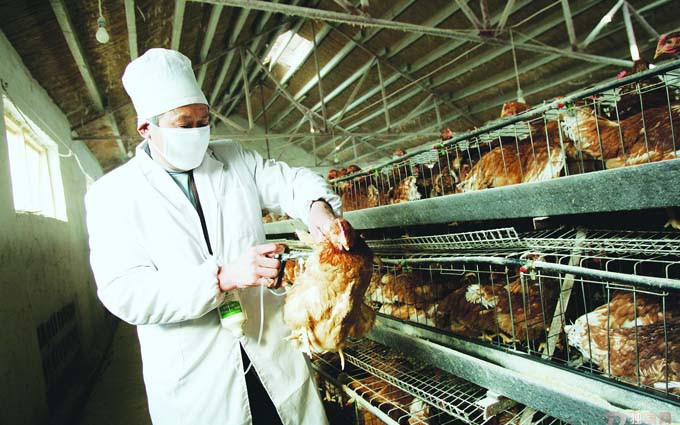 广州首现H7N9本地病例