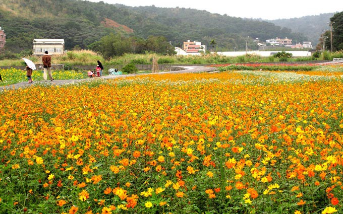 春游踏青好去处 广东赏花活乐游攻略