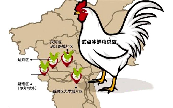 东山第一刀:“有多少只冰鲜鸡我都能卖” 
