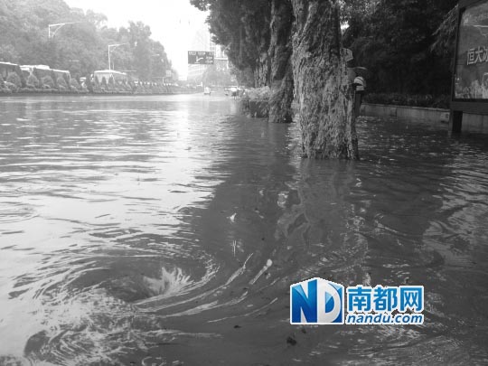 东濠涌逢雨必浸 羊城治水“水不水”