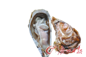 生蚝属于海鲜吗_烤生蚝_生蚝图片大全烤肉