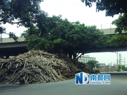 高架桥底依旧隐患重重 大火离你多远