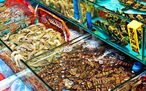 普通箱货可以拉海鲜吗_可以帮人de普通机器人_海鲜美食图片(2)