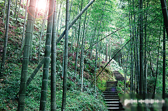 泡在南昆山 南昆山温泉旅游攻略