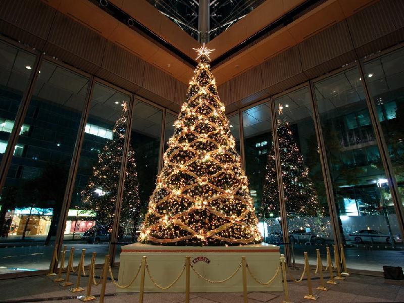 2014广州哪里可以看到圣诞树？