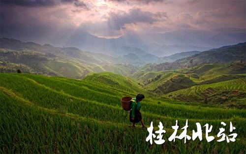 贵广高铁旅游攻略：广西桂林象鼻山龙脊梯田