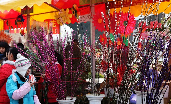 2015年广州市萝岗区迎春花市