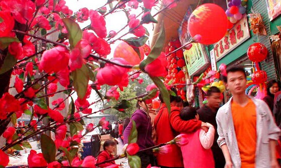 2015年白云区迎春花市在哪里举行？什么时候举行