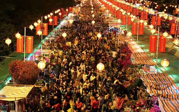 2015年南沙花市在哪里，什么时候举行