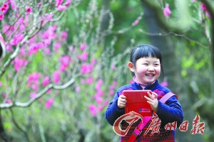 2015春节白云山花似锦 明珠楼迎春来