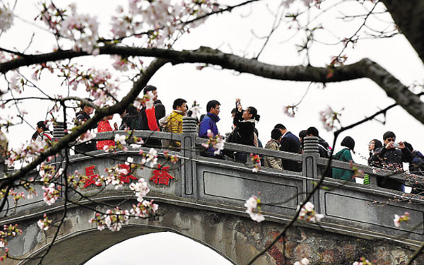 春节到陈村感受不一样的花市
