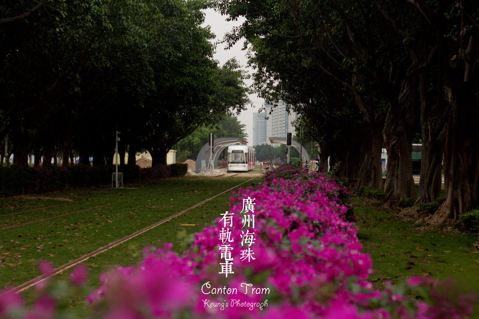 广州有轨电车沿线景点,广州有轨电车沿线攻略