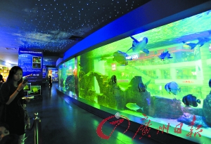 天环广场开业推迟至明年 正佳极地海洋世界确定圣诞节开幕