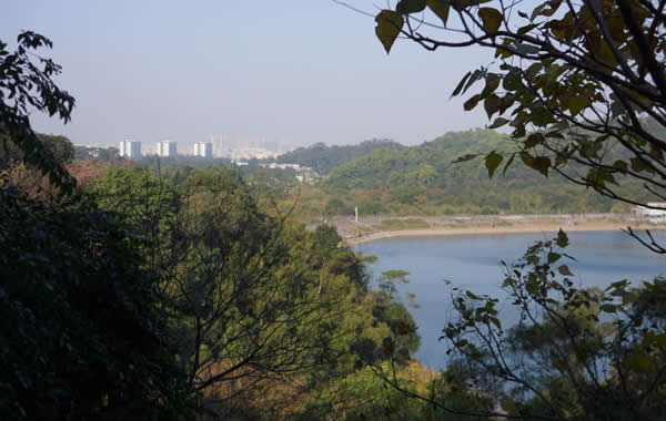 广州旅游景点：白云山荷依岭景区介绍