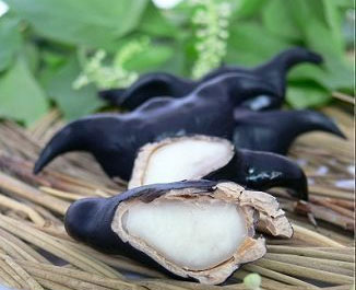广州美食故事：​当葡萄酒“偶遇”西关水菱角
