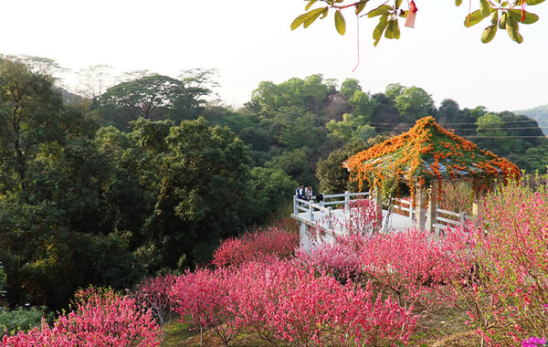 广州旅游景点：白云区白云山桃花涧景点介绍
