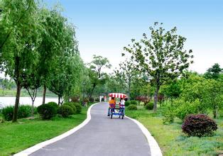 广州热门去处：龙眼洞森林公园