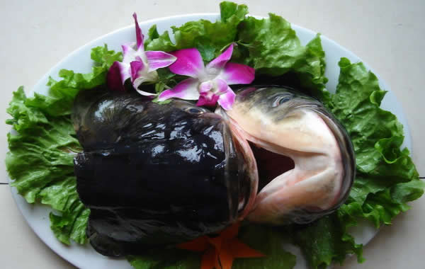 食在广州：越秀区美食药秘鱼头火锅介绍