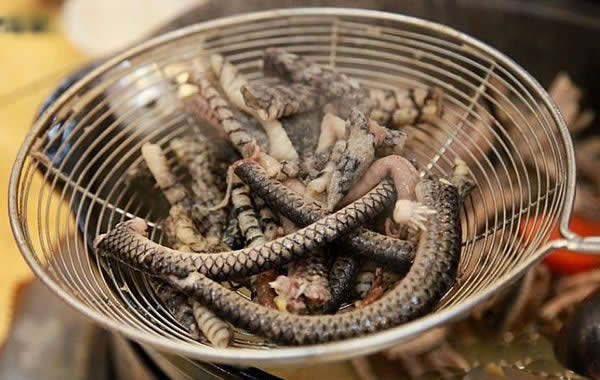 食在广州：越秀区美食广州蛇宴介绍