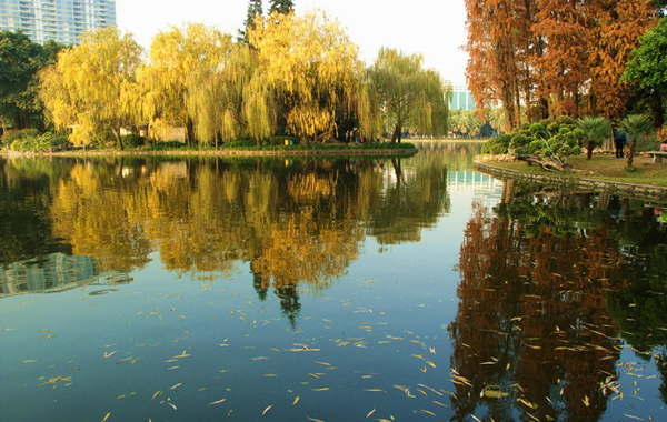流花湖公园：一派南亚热带风光的休闲胜地