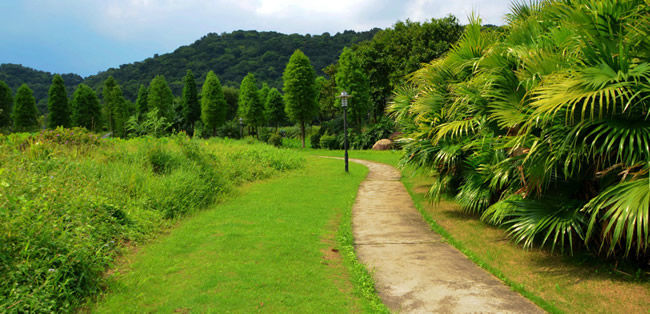 广州萝岗区广州义务植树公园：全国首个全民义务植树公园