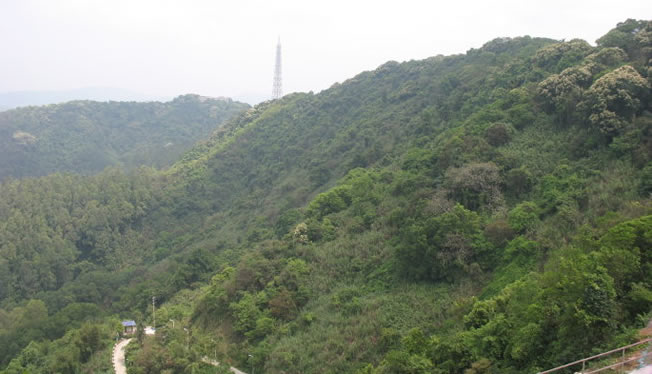 广州萝岗区牛头山：群山莽莽的原生态景观