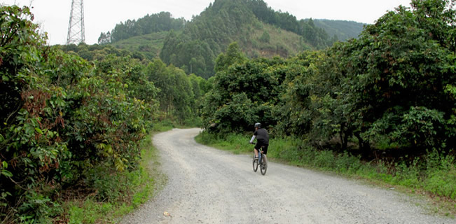 广州旅游景点：增城区南香山介绍