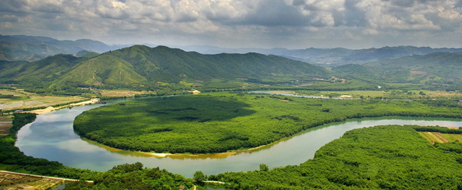 增城区湖心岛：水的世界、花的海洋、鸟的天堂