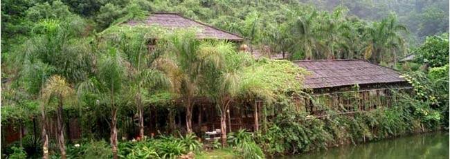 金坑森林公园：拥抱绿色传奇 享受山水闲情