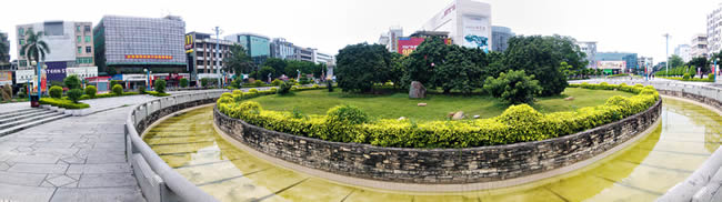 挂绿广场：具有400多年历史的西园挂绿母树