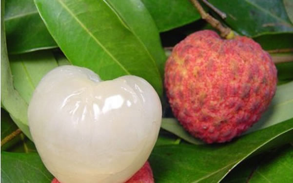 增城糯米糍荔枝：口感嫩滑、味极清甜、核瘦小、自然糖分高