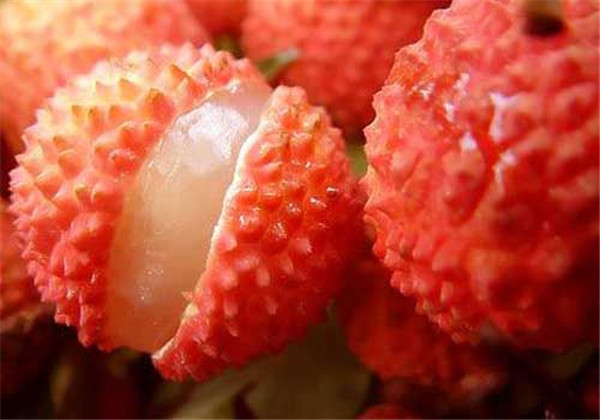 增城雪怀子荔枝：丰产、稳产、肉质结实、耐贮藏、质优