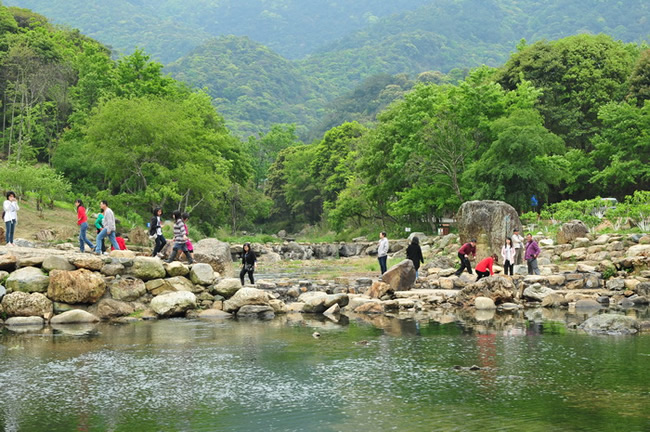 2016广州清明节去哪玩？去从化石门森林公园看油菜花！