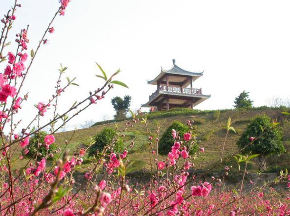 清明节三天短假自驾游来西樵山赏花