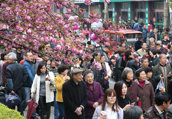 清明节习俗之蚕花庙会：蚕乡一种特有的民俗文化
