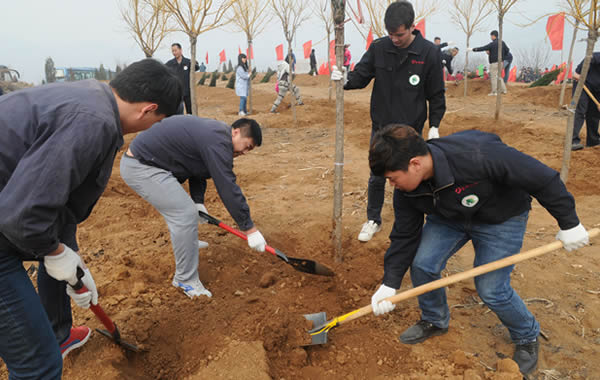 清明节习俗之植树：万物生长此时皆清洁而明净