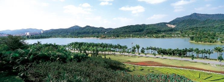 大夫山森林公园：一个集观光旅游、休闲娱乐于一体的旅游景区