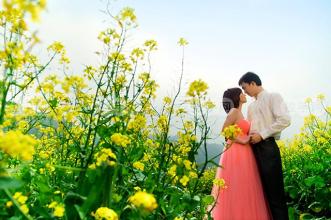 油菜花盛开季节——红山村