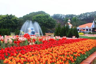 蒲草韧如丝：蒲洲花园
