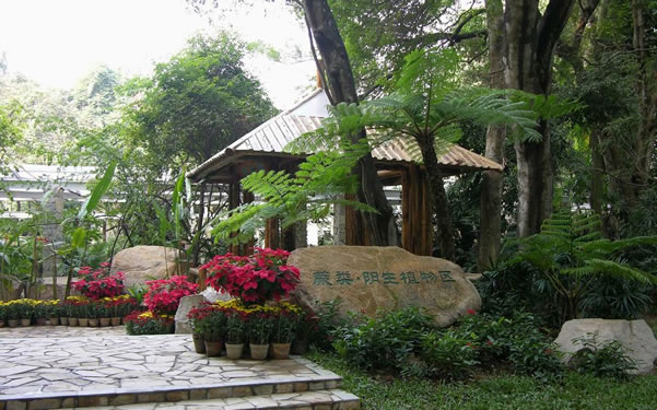2016年广州五一旅游好景点推荐：华南植物园