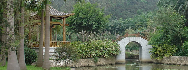 广州五一周边旅游就去番禺沙湾滴水岩森林公园观鸟！
