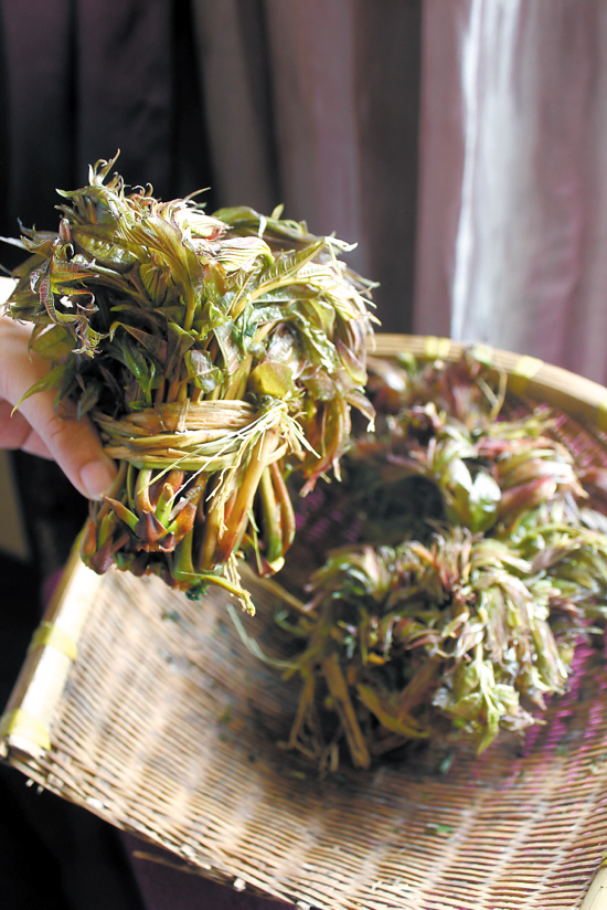 野菜冒尖，心生向往