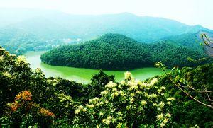 广州天河区橄榄公园