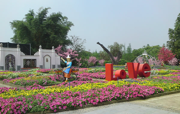 旅游资讯：广州从化宝趣玫瑰世界图片大推送