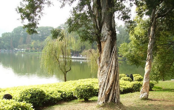 旅游攻略：广州天河公园在哪？