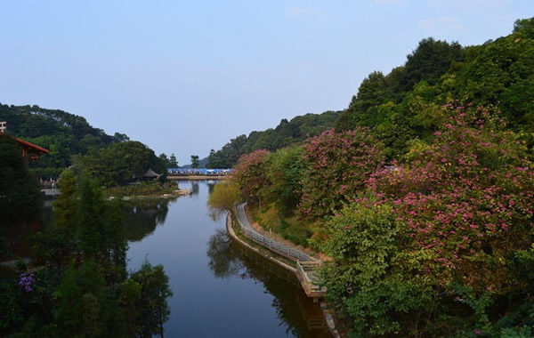 2016年中秋旅游攻略：到帽峰山追月去！